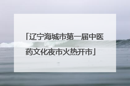 辽宁海城市第一届中医药文化夜市火热开市