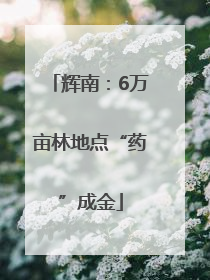 辉南：6万亩林地点“药”成金