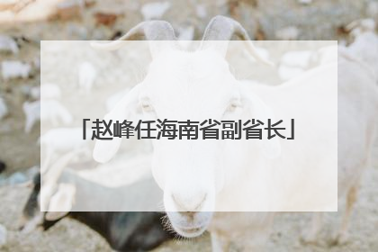 赵峰任海南省副省长