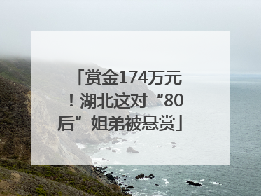 赏金174万元！湖北这对“80后”姐弟被悬赏