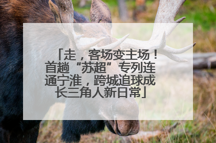 走，客场变主场！首趟“苏超”专列连通宁淮，跨城追球成长三角人新日常