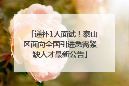 递补1人面试！泰山区面向全国引进急需紧缺人才最新公告