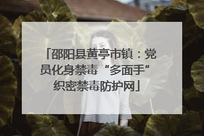邵阳县黄亭市镇：党员化身禁毒“多面手” 织密禁毒防护网