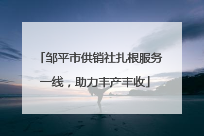 邹平市供销社扎根服务一线，助力丰产丰收