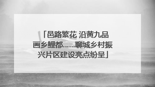 邑路繁花 沿黄九品 画乡鲤都……聊城乡村振兴片区建设亮点纷呈
