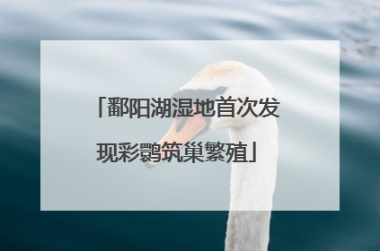 鄱阳湖湿地首次发现彩鹮筑巢繁殖