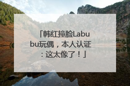 韩红撞脸Labubu玩偶，本人认证：这太像了！