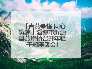青燕争锋 同心筑梦丨淄博市沂源县燕崖镇召开年轻干部座谈会