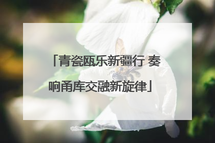 青瓷瓯乐新疆行 奏响甬库交融新旋律