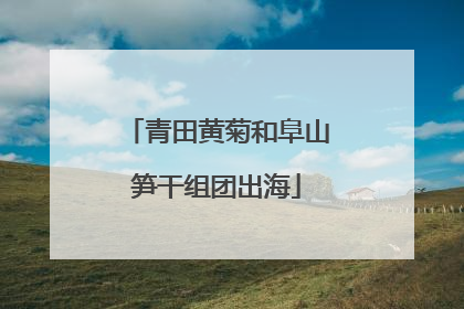 青田黄菊和阜山笋干组团出海