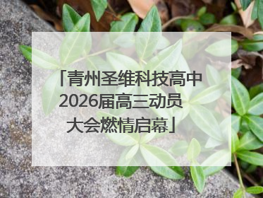 青州圣维科技高中2026届高三动员大会燃情启幕