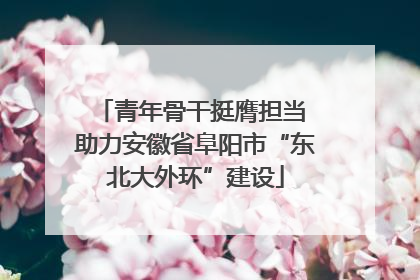 青年骨干挺膺担当 助力安徽省阜阳市“东北大外环”建设
