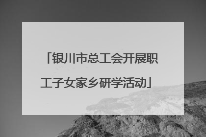 银川市总工会开展职工子女家乡研学活动
