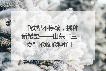铁犁不停歇，播种新希望——山东“三夏”抢收抢种忙