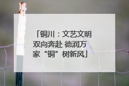 铜川：文艺文明双向奔赴 德润万家“铜”树新风