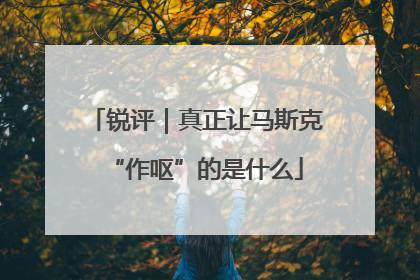锐评｜真正让马斯克“作呕”的是什么