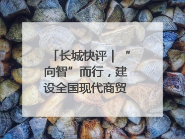 长城快评｜“向智”而行，建设全国现代商贸物流重要基地