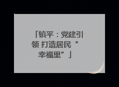镇平：党建引领 打造居民“幸福里”