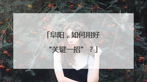 阜阳，如何用好“关键一招”？