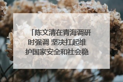 陈文清在青海调研时强调 坚决扛起维护国家安全和社会稳定职责使命 为谱写中国式现代化青海篇章贡献政法力量