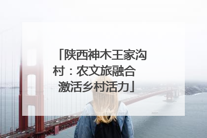 陕西神木王家沟村：农文旅融合 激活乡村活力