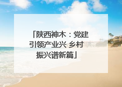 陕西神木：党建引领产业兴 乡村振兴谱新篇