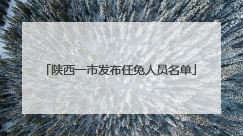 陕西一市发布任免人员名单