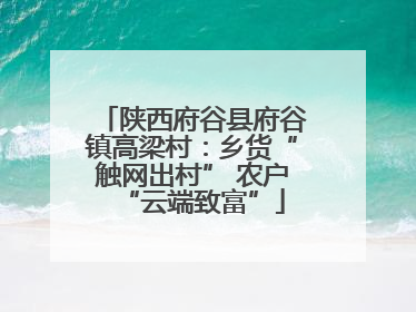 陕西府谷县府谷镇高梁村：乡货“触网出村” 农户“云端致富”
