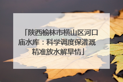 陕西榆林市横山区河口庙水库：科学调度保灌溉 精准放水解旱情