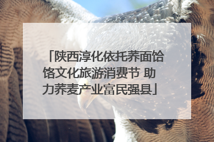 陕西淳化依托荞面饸饹文化旅游消费节 助力荞麦产业富民强县