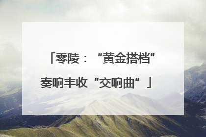 零陵：“黄金搭档”奏响丰收“交响曲”