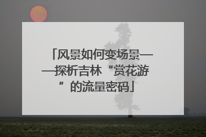 风景如何变场景——探析吉林“赏花游”的流量密码
