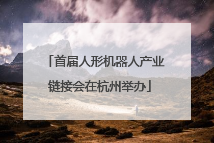 首届人形机器人产业链接会在杭州举办