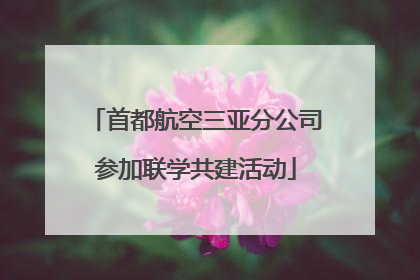 首都航空三亚分公司参加联学共建活动