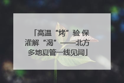 高温“烤”验 保灌解“渴”——北方多地夏管一线见闻