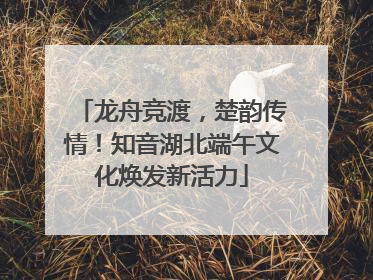 龙舟竞渡，楚韵传情！知音湖北端午文化焕发新活力