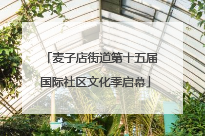 麦子店街道第十五届国际社区文化季启幕