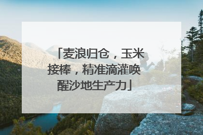 麦浪归仓，玉米接棒，精准滴灌唤醒沙地生产力