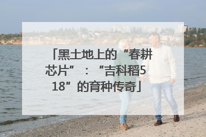 黑土地上的“春耕芯片”：“吉科稻518”的育种传奇