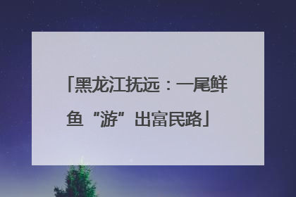 黑龙江抚远：一尾鲜鱼“游”出富民路
