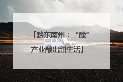 黔东南州：“酸”产业酿出甜生活