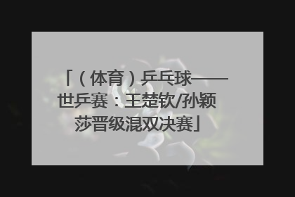 （体育）乒乓球——世乒赛：王楚钦/孙颖莎晋级混双决赛