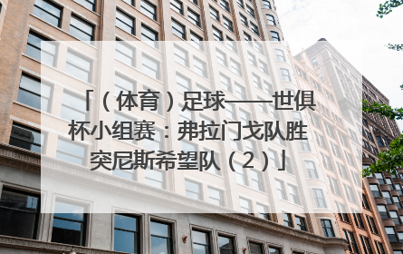 （体育）足球——世俱杯小组赛：弗拉门戈队胜突尼斯希望队（2）