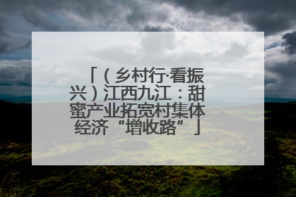（乡村行·看振兴）江西九江：甜蜜产业拓宽村集体经济“增收路”