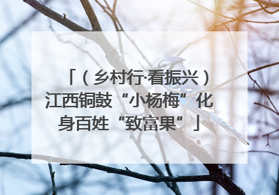 （乡村行·看振兴）江西铜鼓“小杨梅”化身百姓“致富果”