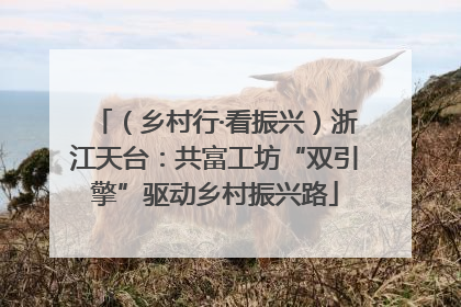（乡村行·看振兴）浙江天台：共富工坊“双引擎”驱动乡村振兴路