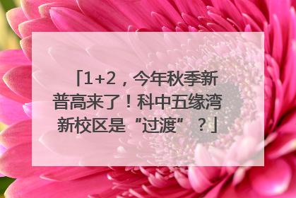 1+2，今年秋季新普高来了！科中五缘湾新校区是“过渡”？