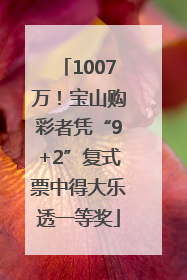 1007万！宝山购彩者凭“9+2”复式票中得大乐透一等奖