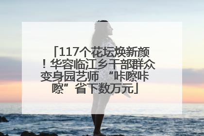 117个花坛焕新颜！华容临江乡干部群众变身园艺师 “咔嚓咔嚓”省下数万元