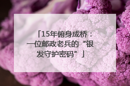 15年俯身成桥：一位邮政老兵的“银发守护密码”